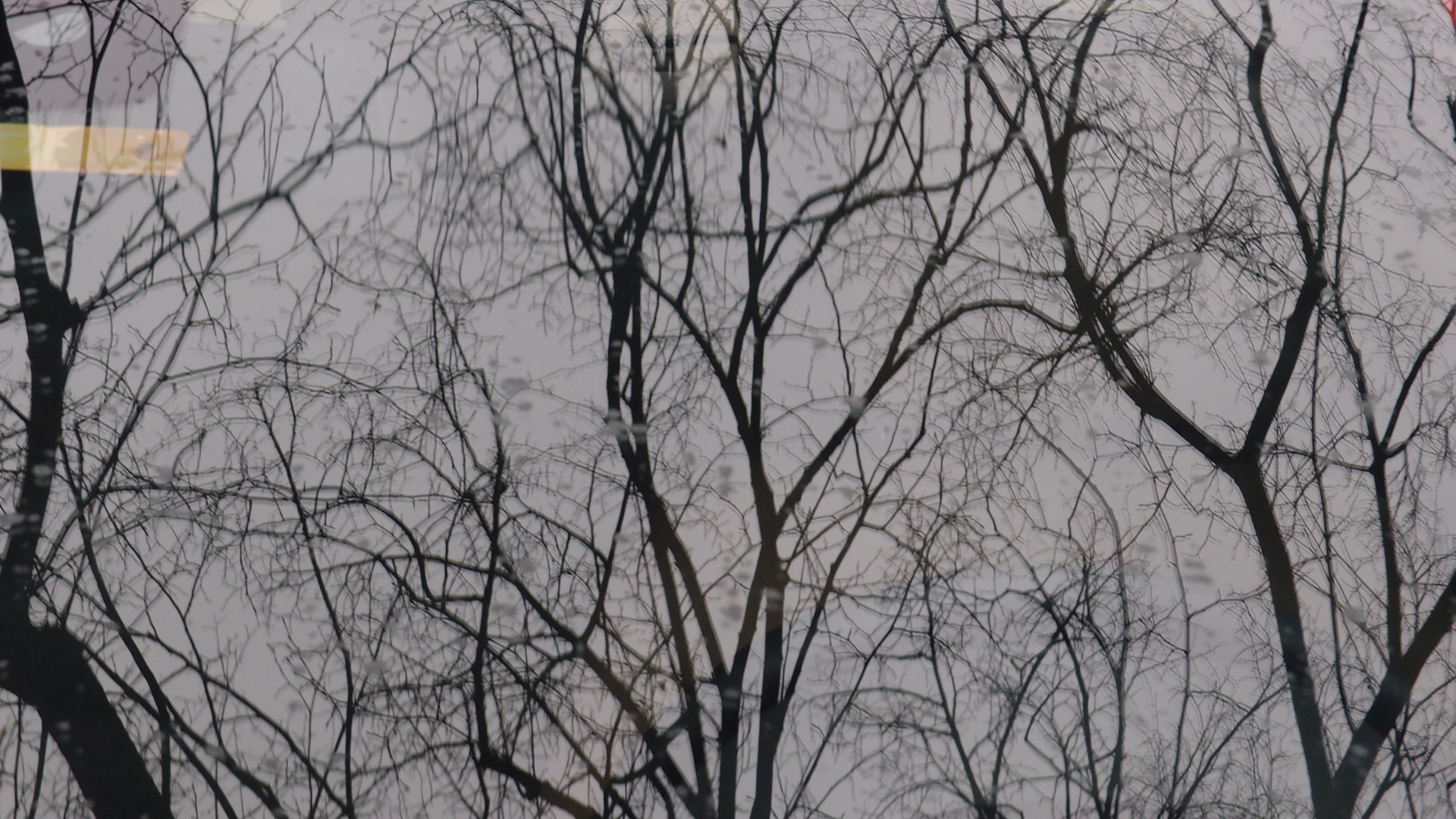 2021-01-06 - 08 Kühlgeträt (On/Off) (Remix John Cage - Empty Words IV)